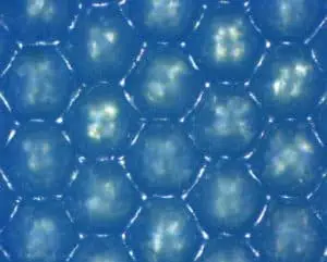 Anilox Thermaflo